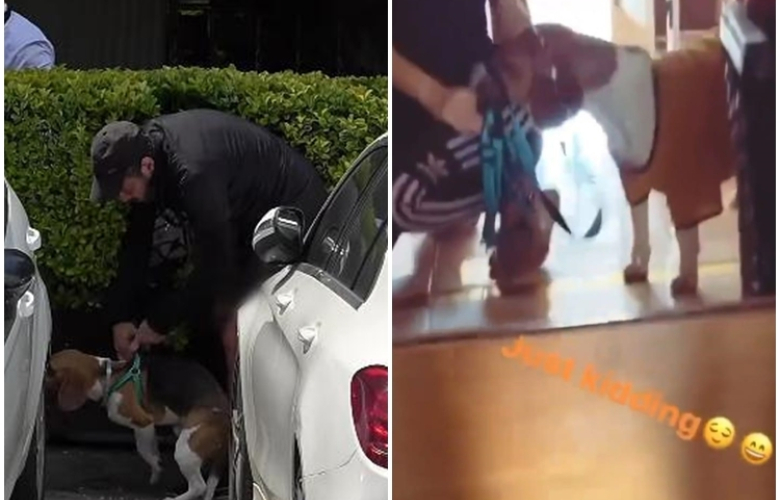 ÖZEL HABER! Aşkı ele veren 2. köpek vakası! Kahramanlar bu kez Kerem Alışık ve Hilal Altınbilek. Fekeli ile Züleyha'nın aşkı belgelendi! 