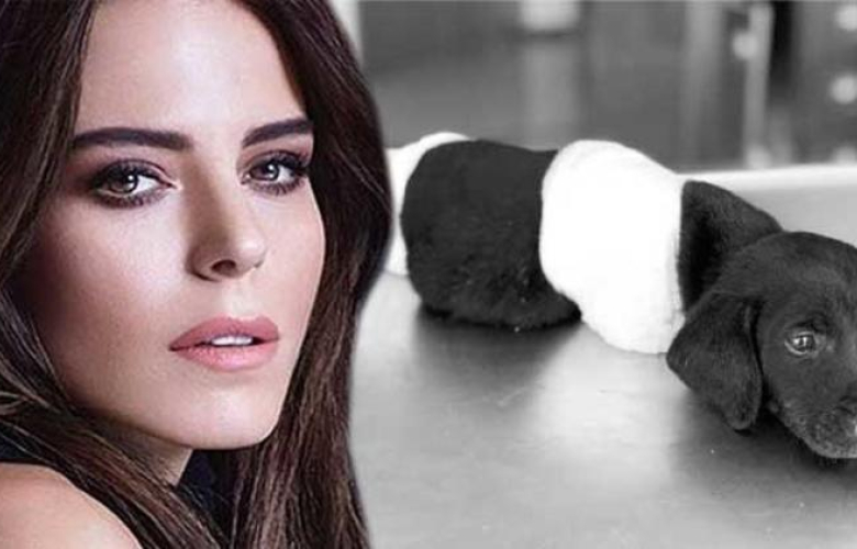 Simge Sağın: Artık burada yaşamak istemiyorum!